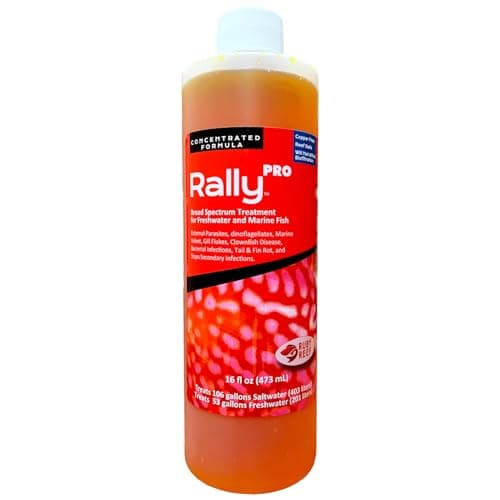 Ruby Reef Rally 5 Gallon Cube