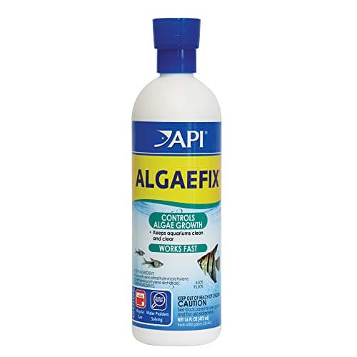 ALGAEFIX 16-Ounce Bottle for Effective Algae Control