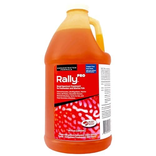 Ruby Reef Rally 5 Gallon Cube