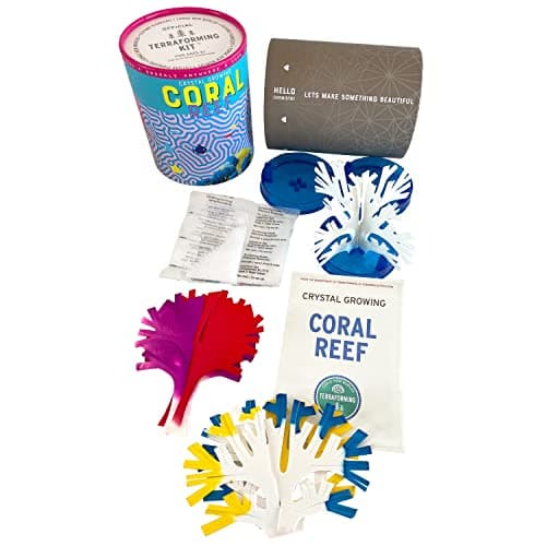 Grow 3 Colorful Coral-like Structures with Crystal Growing Reef