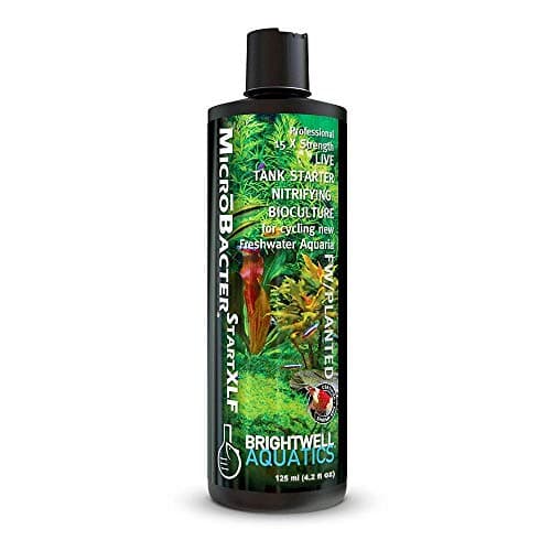 Brightwell Aquatics MicroBacter Start XLF - Nitrifying Bacteria for Fish Tanks - 4.22 fl oz