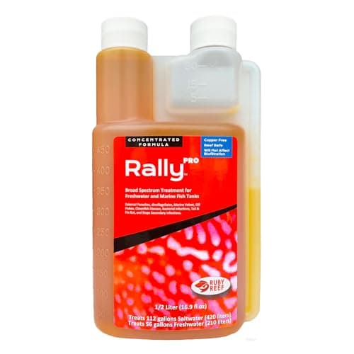 Ruby Reef Rally 5 Gallon Cube