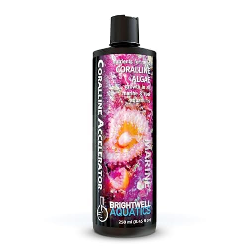 Brightwell Aquatics Coralline Accelerator - Multi-Nutrient Supplement for Marine & Reef Aquariums - 8.45 fl oz
