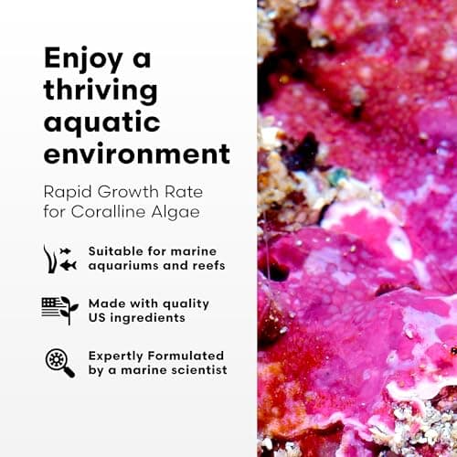Brightwell Aquatics Coralline Accelerator - Multi-Nutrient Supplement for Marine & Reef Aquariums - 8.45 fl oz