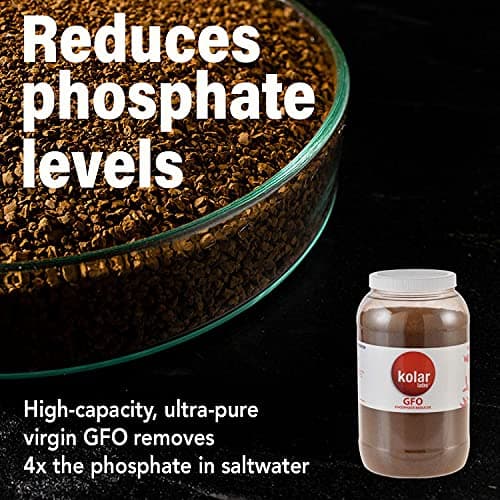 Kolar Labs GFO Bayoxide E33 Phosphate Remover for Aquariums, Reef Tanks (454g)