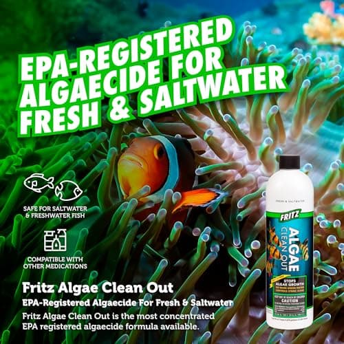 Fritz Aquatics Algae Clean-Out for Fresh & Salt Water Tanks, 16 oz