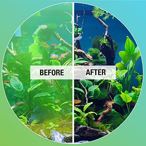 MICROBE-LIFT ALGAA08 Algae Control for Home Aquariums, 8 Ounces