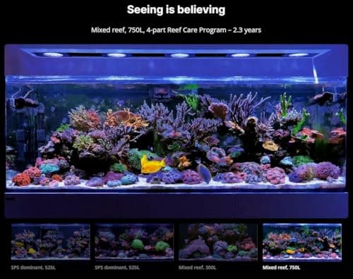 Red Sea 4-Part RCP Dosing System for Saltwater Aquariums
