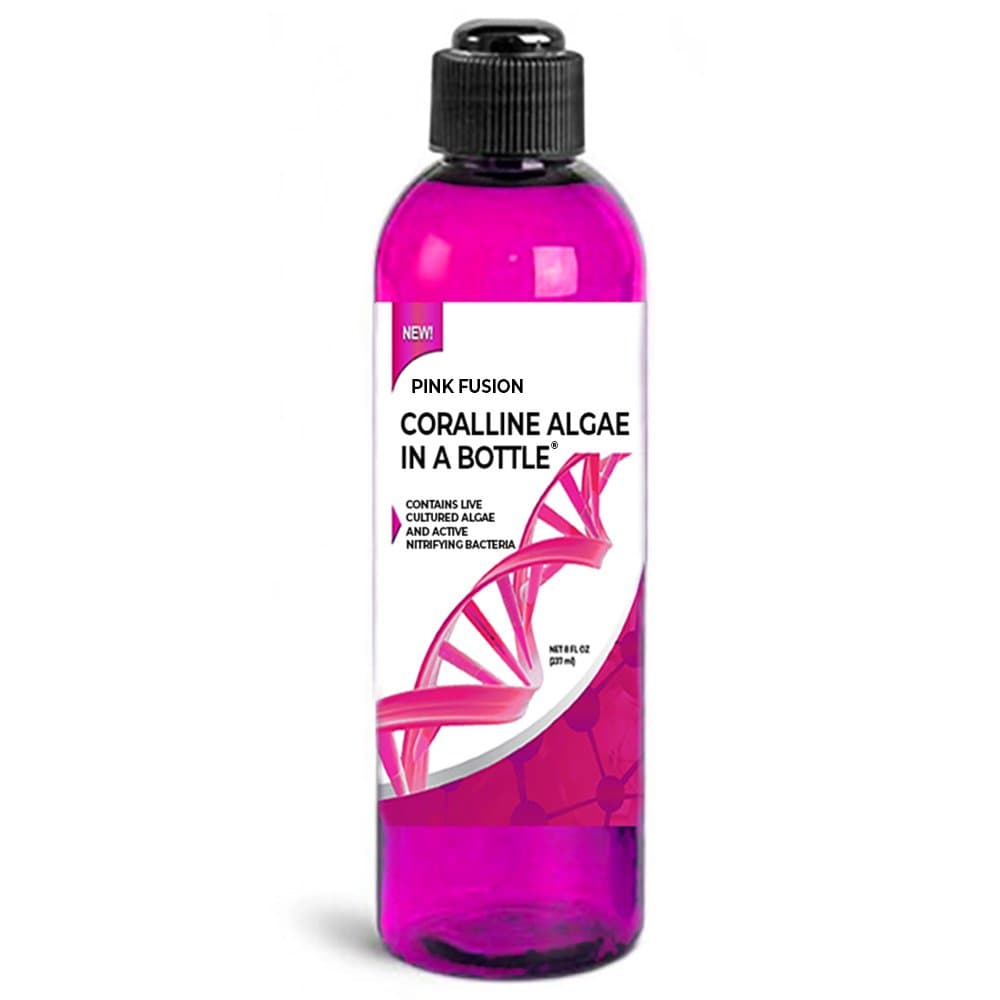 Pink Fusion Strain Coralline Algae + Nitrifying Bacteria for Saltwater Aquariums