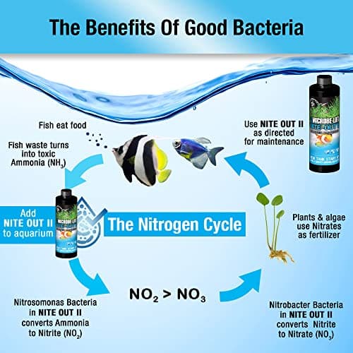 MICROBE-LIFT NITEH04 Nite-Out II Aquarium Cleaner for Rapid Ammonia Reduction, 4 Ounces