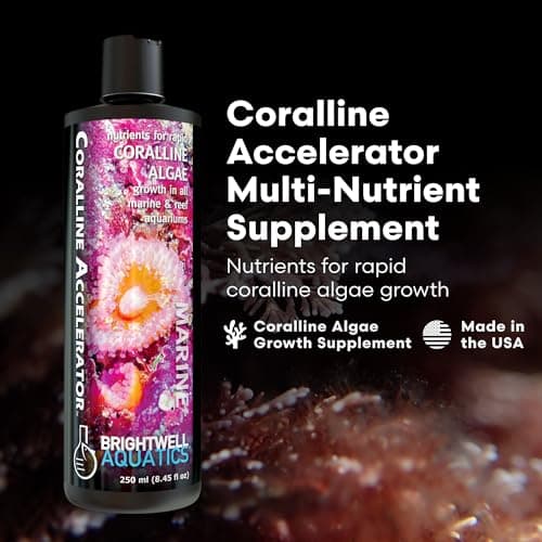Brightwell Aquatics Coralline Accelerator - Multi-Nutrient Supplement for Marine & Reef Aquariums - 8.45 fl oz