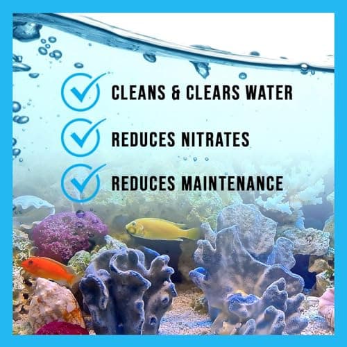 MICROBE-LIFT SBH16 Special Blend Aquarium Cleaner 16 Ounces Freshwater & Saltwater