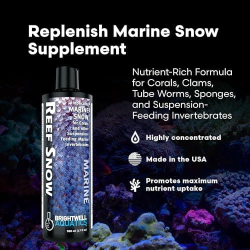Brightwell Aquatics Reef Snow – Nutrient-Rich Coral & Clam Supplement – 125 ml
