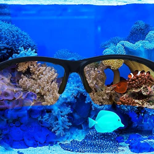 5 Pcs Coral Viewing Glasses with UV Filter Kit, 37mm Macro Lens, Yellow & Orange