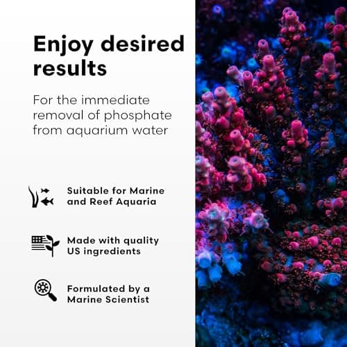 Brightwell Aquatics Phosphat-E Liquid Phosphate Remover, 4.2 fl oz