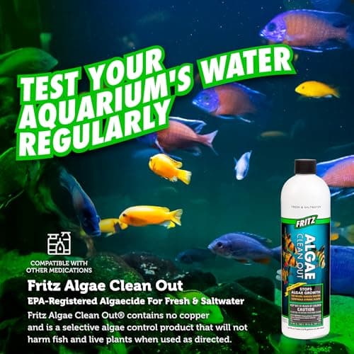 Fritz Aquatics Algae Clean-Out for Fresh & Salt Water Tanks, 16 oz