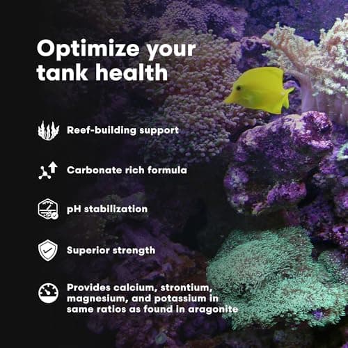 Brightwell Aquatics Coralline Accelerator - Multi-Nutrient Supplement for Marine & Reef Aquariums - 8.45 fl oz