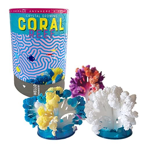 Grow 3 Colorful Coral-like Structures with Crystal Growing Reef