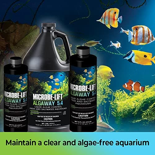MICROBE-LIFT ALGAA08 Algae Control for Home Aquariums, 8 Ounces