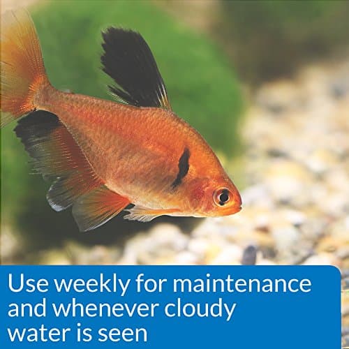 API Accu-Clear Freshwater Aquarium Water Clarifier and API Tap Water Conditioner