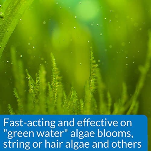 ALGAEFIX 16-Ounce Bottle for Effective Algae Control