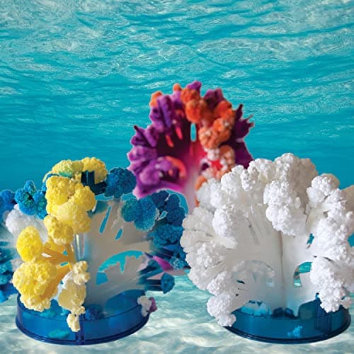 Grow 3 Colorful Coral-like Structures with Crystal Growing Reef