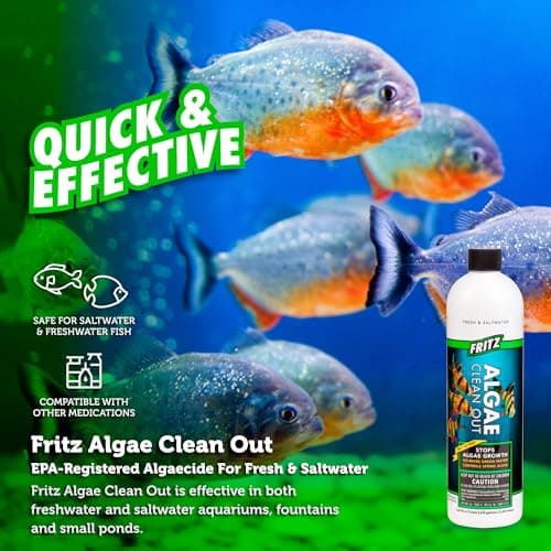 Fritz Aquatics Algae Clean-Out for Fresh & Salt Water Tanks, 16 oz