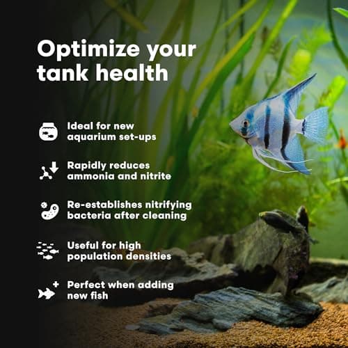 Brightwell Aquatics MicroBacter Start XLF - Nitrifying Bacteria for Fish Tanks - 4.22 fl oz