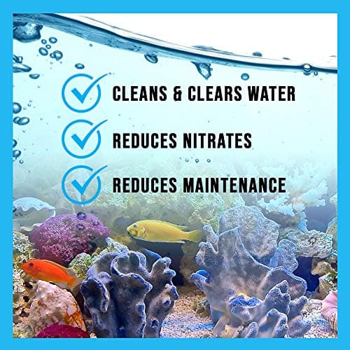 MICROBE-LIFT SBH04 Special Blend Aquarium Cleaner 4 Ounces