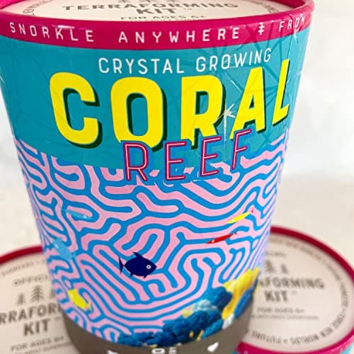 Grow 3 Colorful Coral-like Structures with Crystal Growing Reef