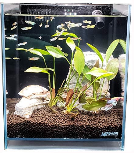 LIFEGARD Low Iron Clear Crystal Aquarium with Built-in Filter – 1.2 GPH Direct Jet Flow