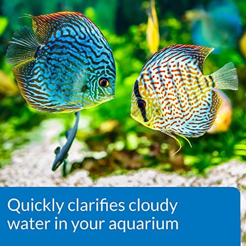 API Accu-Clear Freshwater Aquarium Water Clarifier and API Tap Water Conditioner