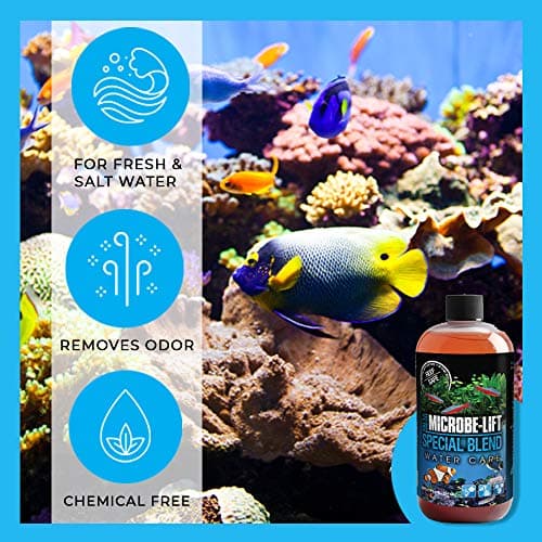 MICROBE-LIFT SBH04 Special Blend Aquarium Cleaner 4 Ounces