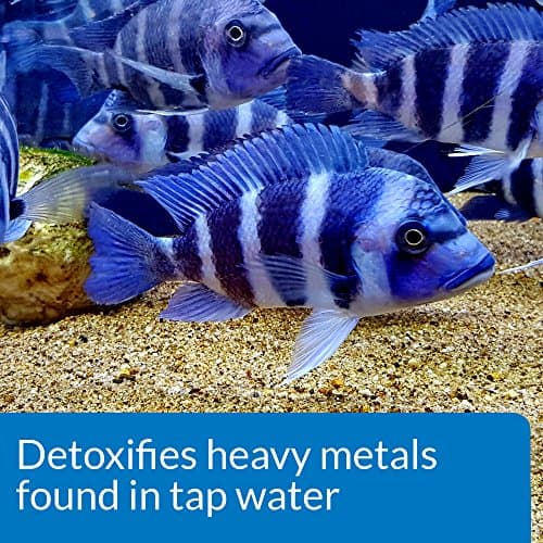 API Accu-Clear Freshwater Aquarium Water Clarifier and API Tap Water Conditioner