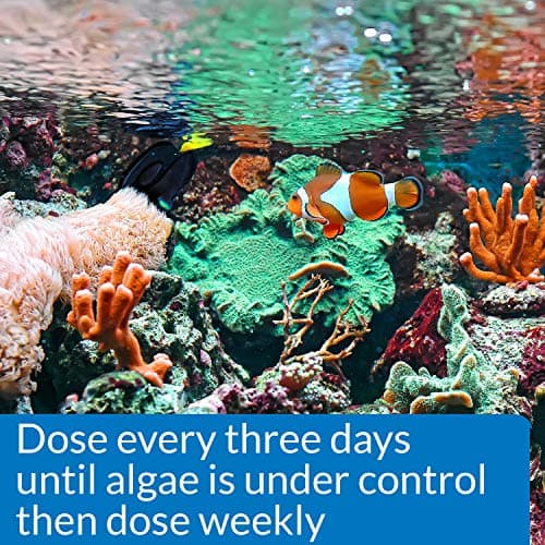 API Marine AlgaeFix 16-Ounce Algae Control Bottle