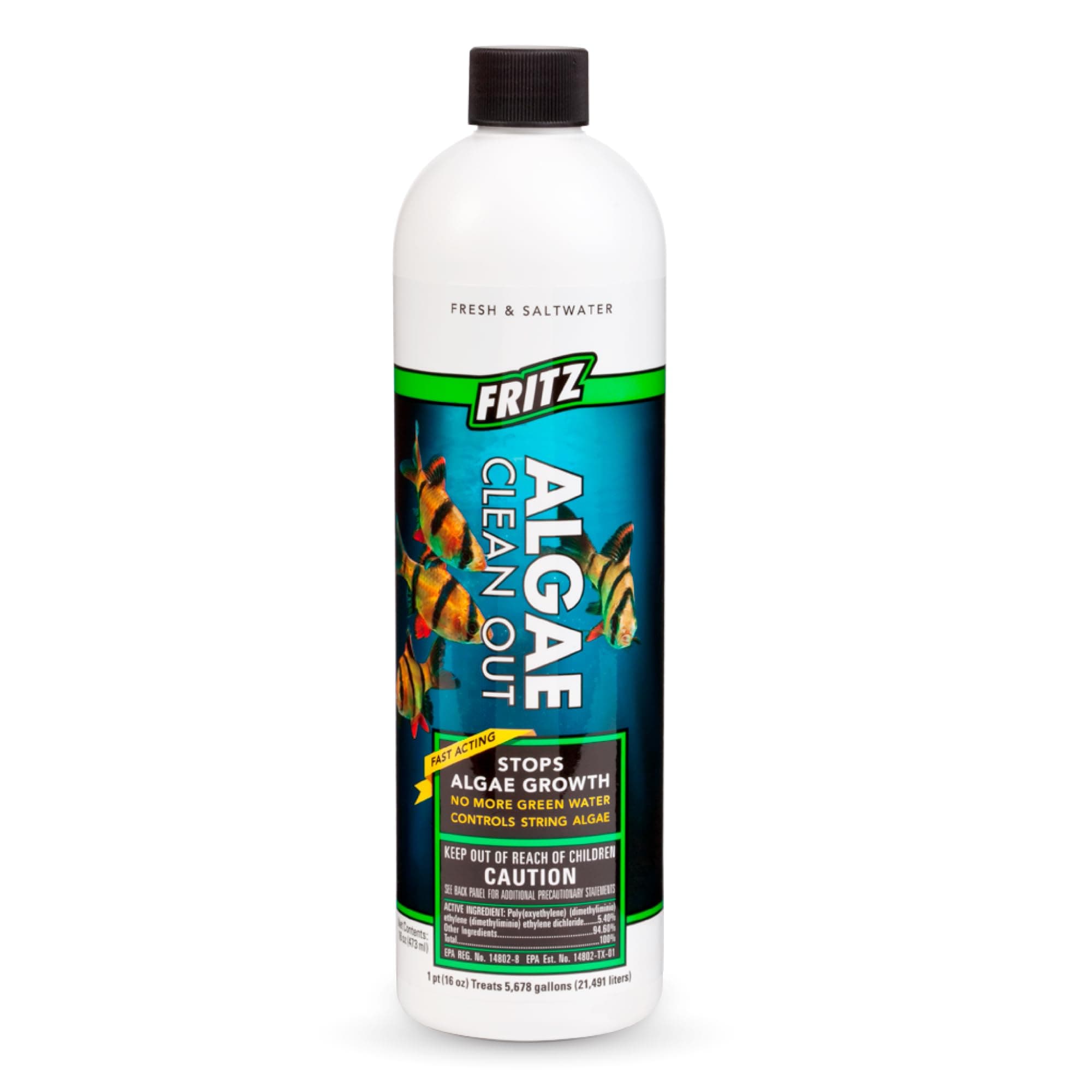Fritz Aquatics Algae Clean-Out for Fresh & Salt Water Tanks, 16 oz