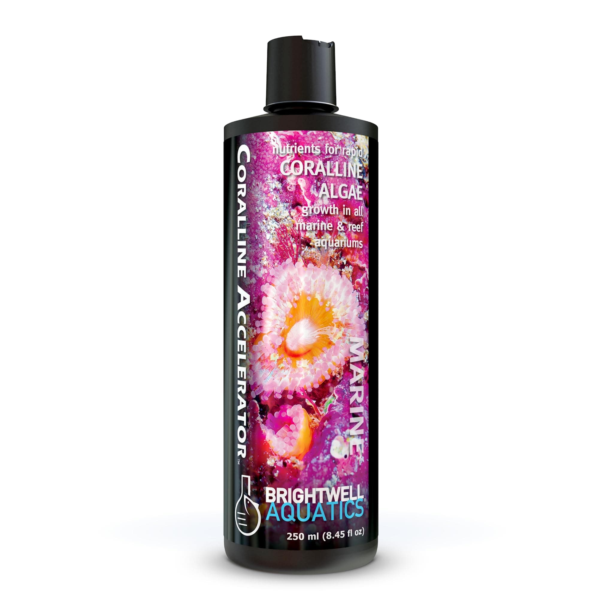 Brightwell Aquatics Coralline Accelerator - Multi-Nutrient Supplement for Marine & Reef Aquariums - 8.45 fl oz