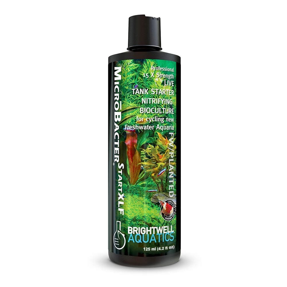 Brightwell Aquatics MicroBacter Start XLF - Nitrifying Bacteria for Fish Tanks - 4.22 fl oz